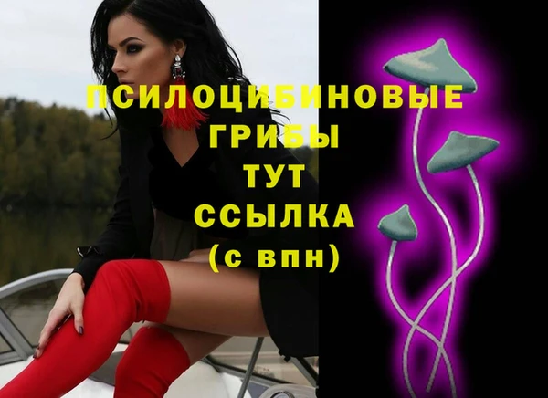 амфетамин Белокуриха