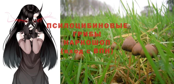 амфетамин Белокуриха